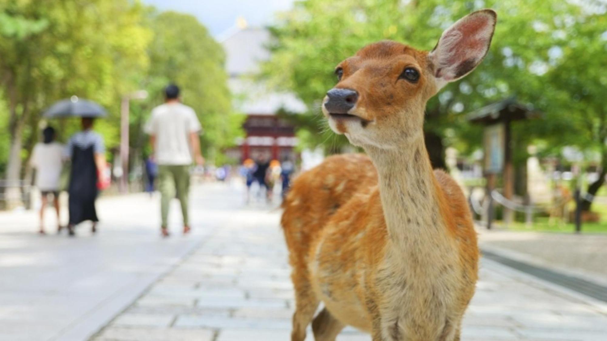 Hotel Arashi Nambaminami Osaka Ngoại thất bức ảnh